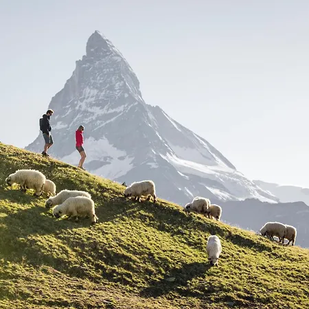Sunnaeplaetzli- Aprt. 4p Matterhorn View/wifi * Zermatt